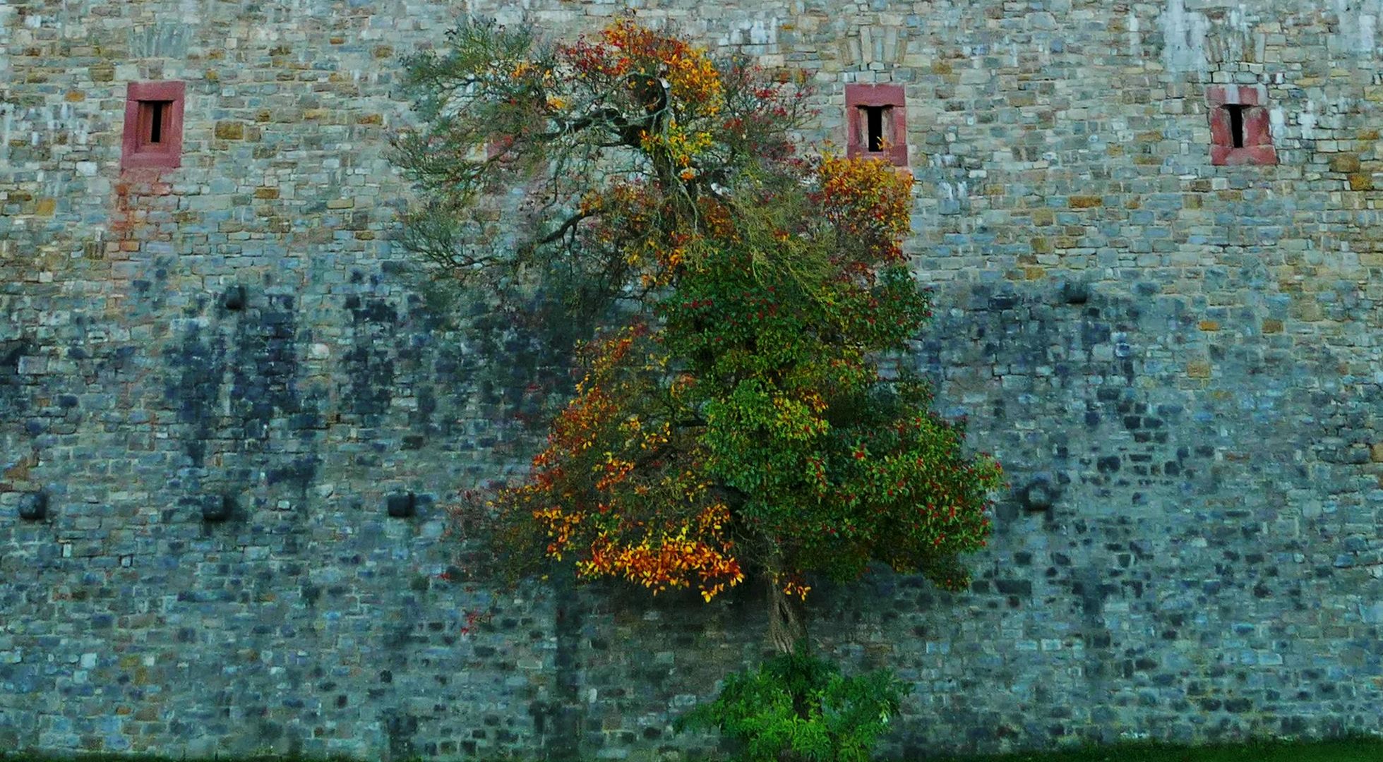 Festung Marienberg Details 03