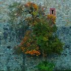 Festung Marienberg Details 03