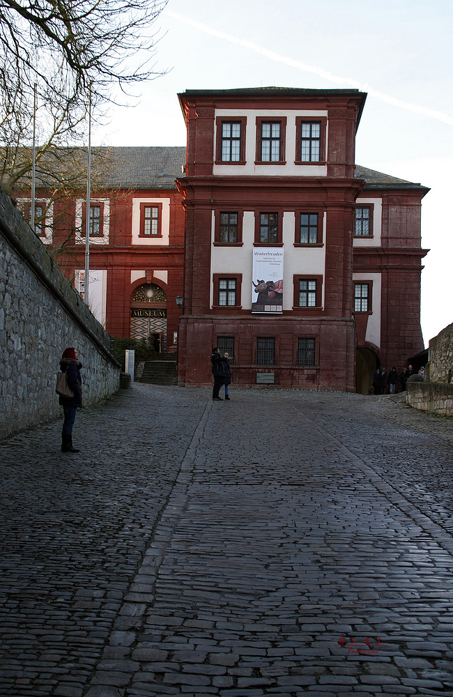 " Festung Marienberg und Stadtblicke aus der Burgperspektive Würzburg "