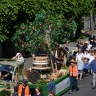 Festwagen und Fußgruppe aus Franken