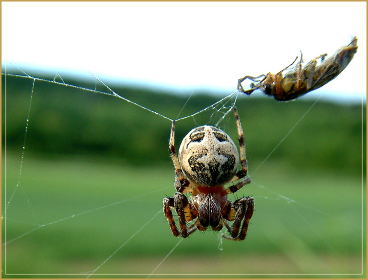 "Fette Beute...!"