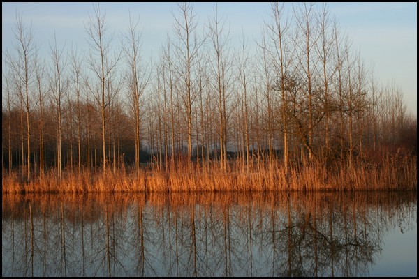 Feu ardant. de motte5 