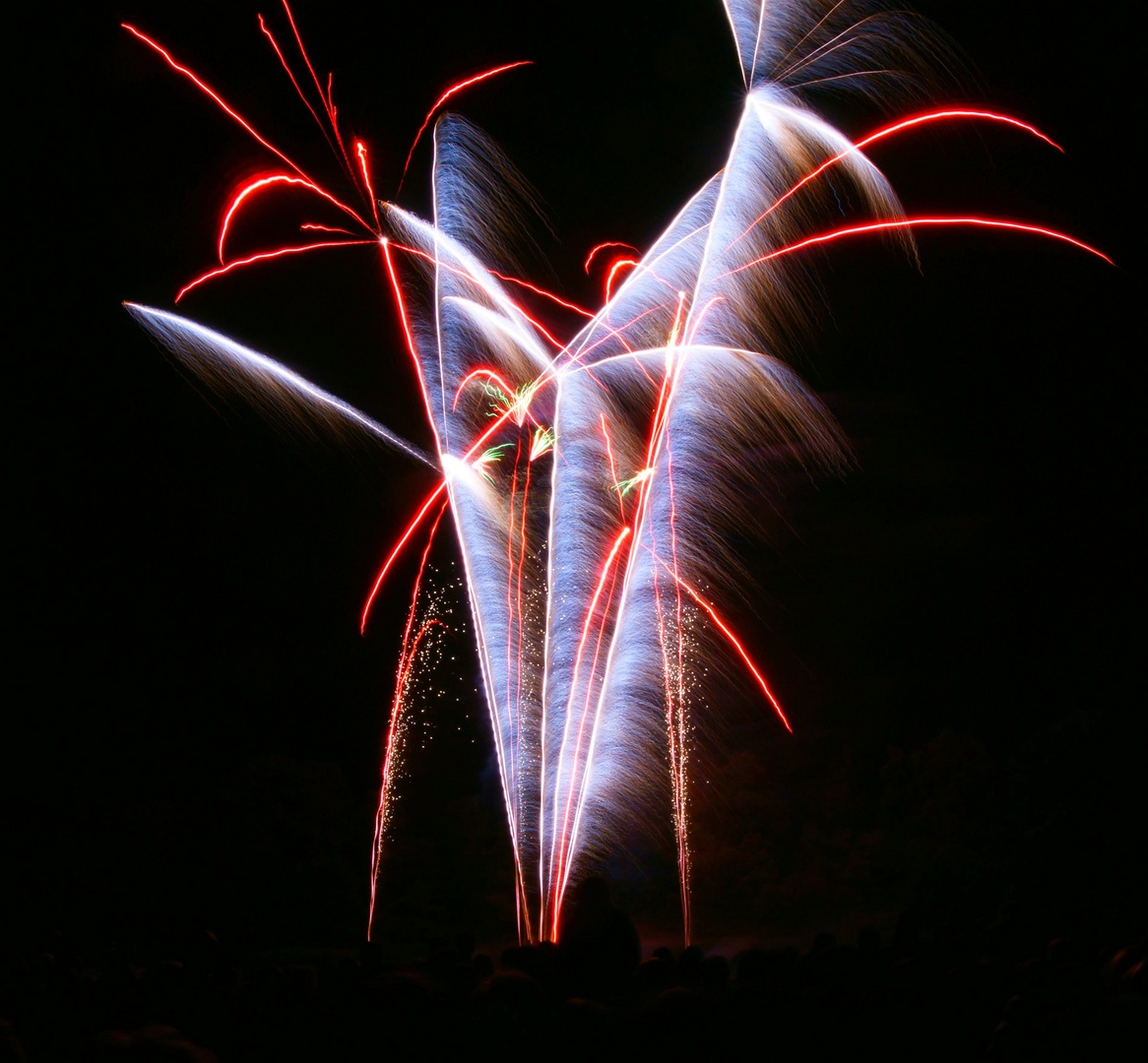 feu d'artifice 3