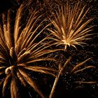  Feu d’artifice 8  --  Doré…  ---  Feuerwerk 8  --  Golden…