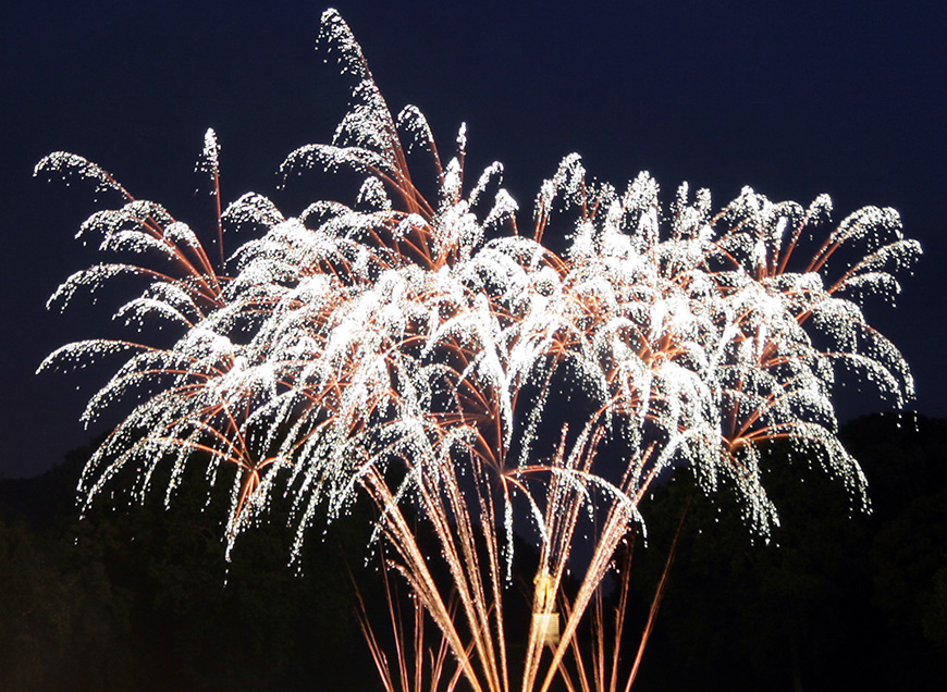 feu d'artifice à Vaux-le-Vicomte 6