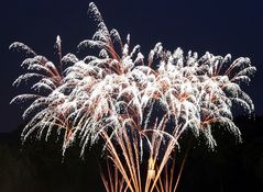 feu d'artifice à Vaux-le-Vicomte 6