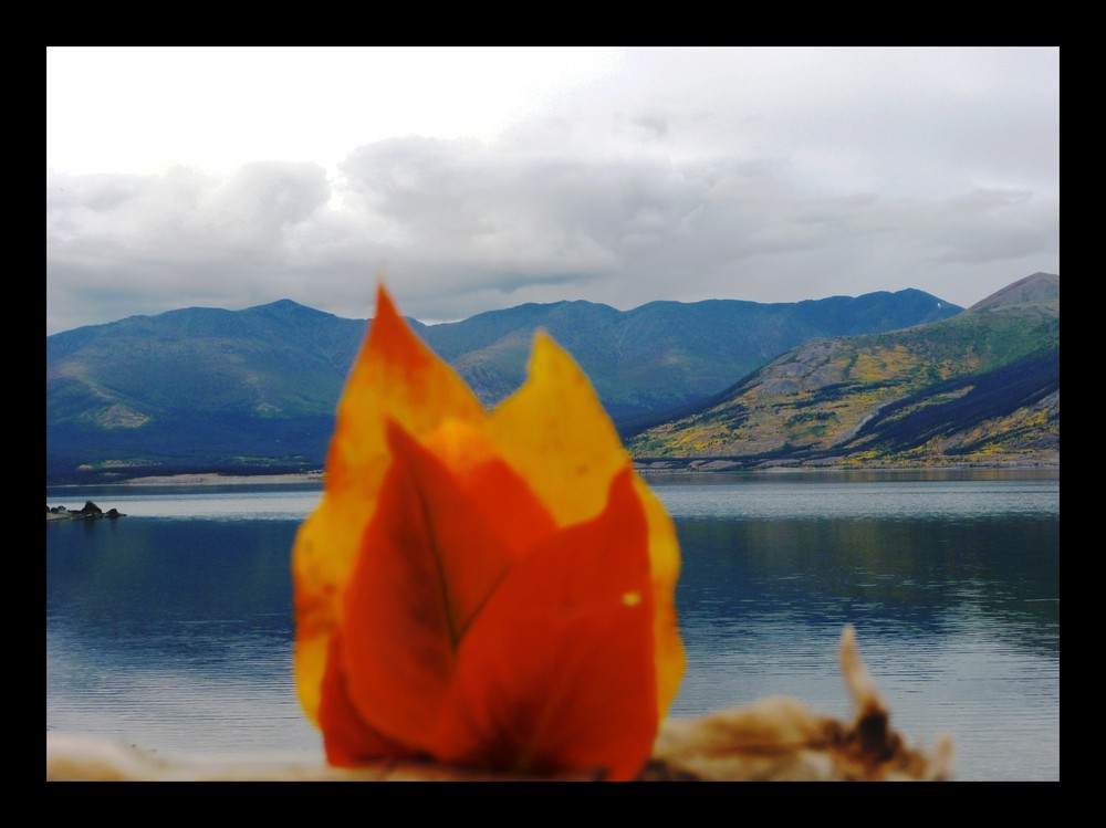 Feu d'automne