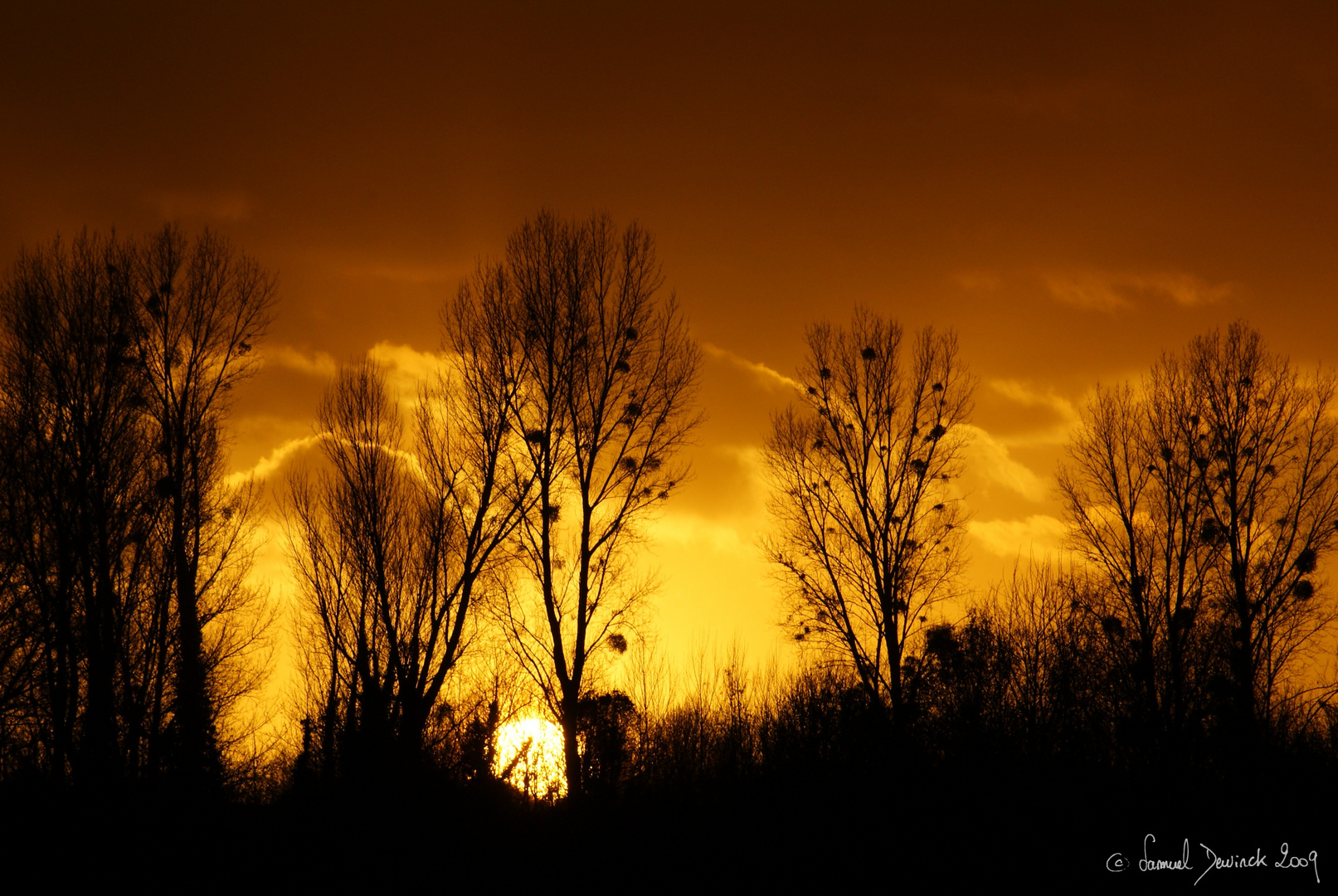 Feu de soleil