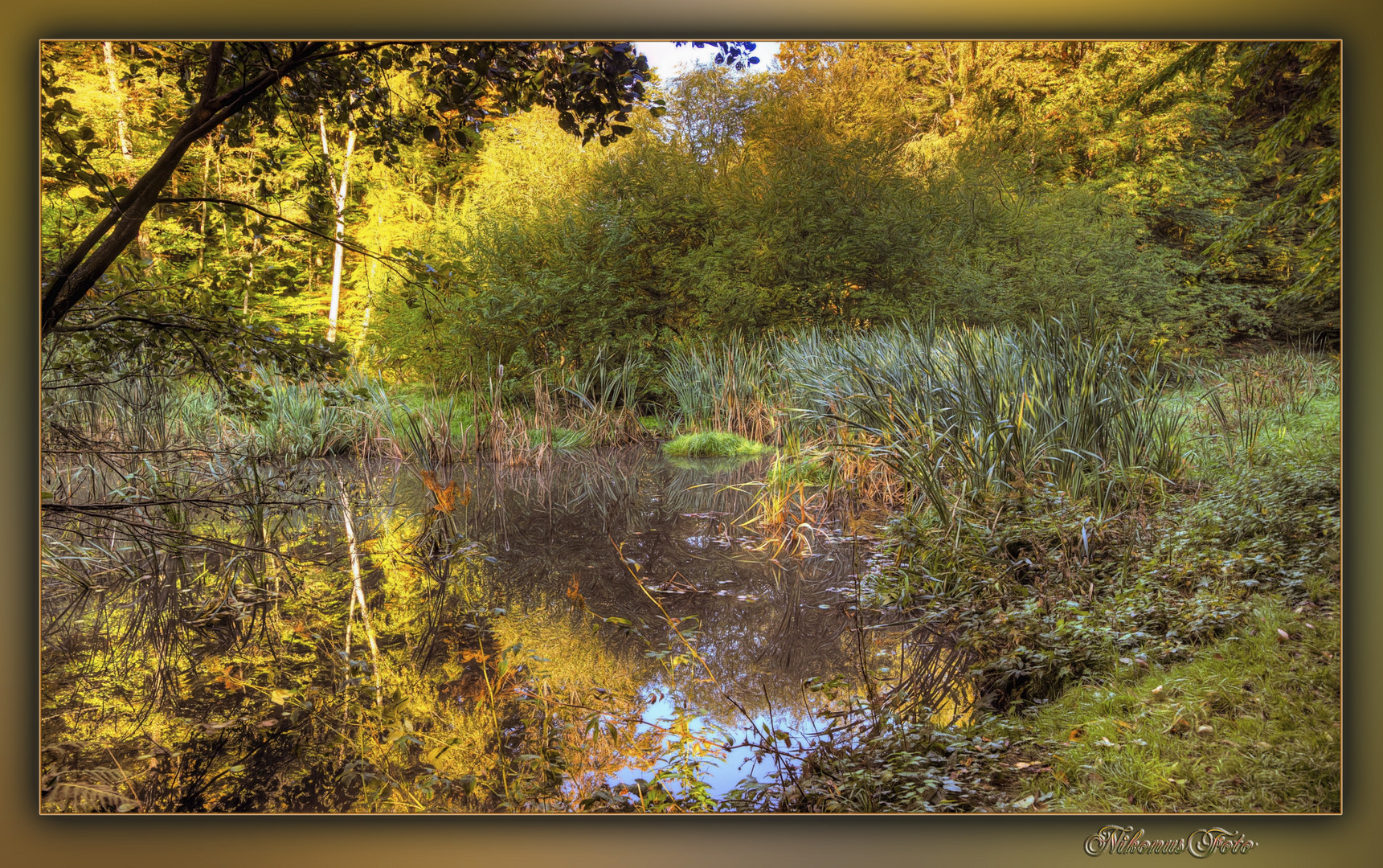 feucht Biotop