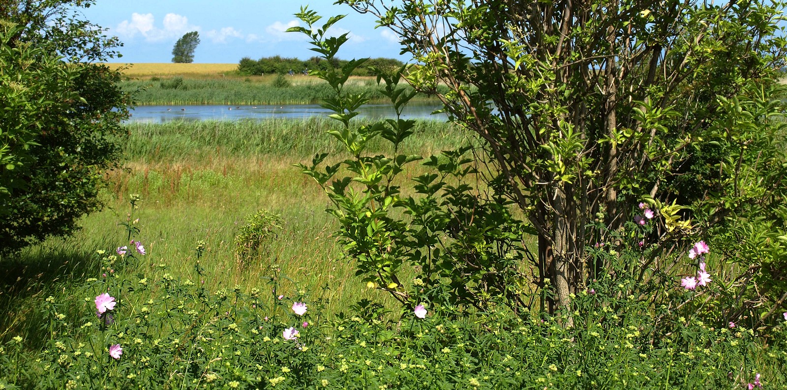 Feuchte Landschaft... 