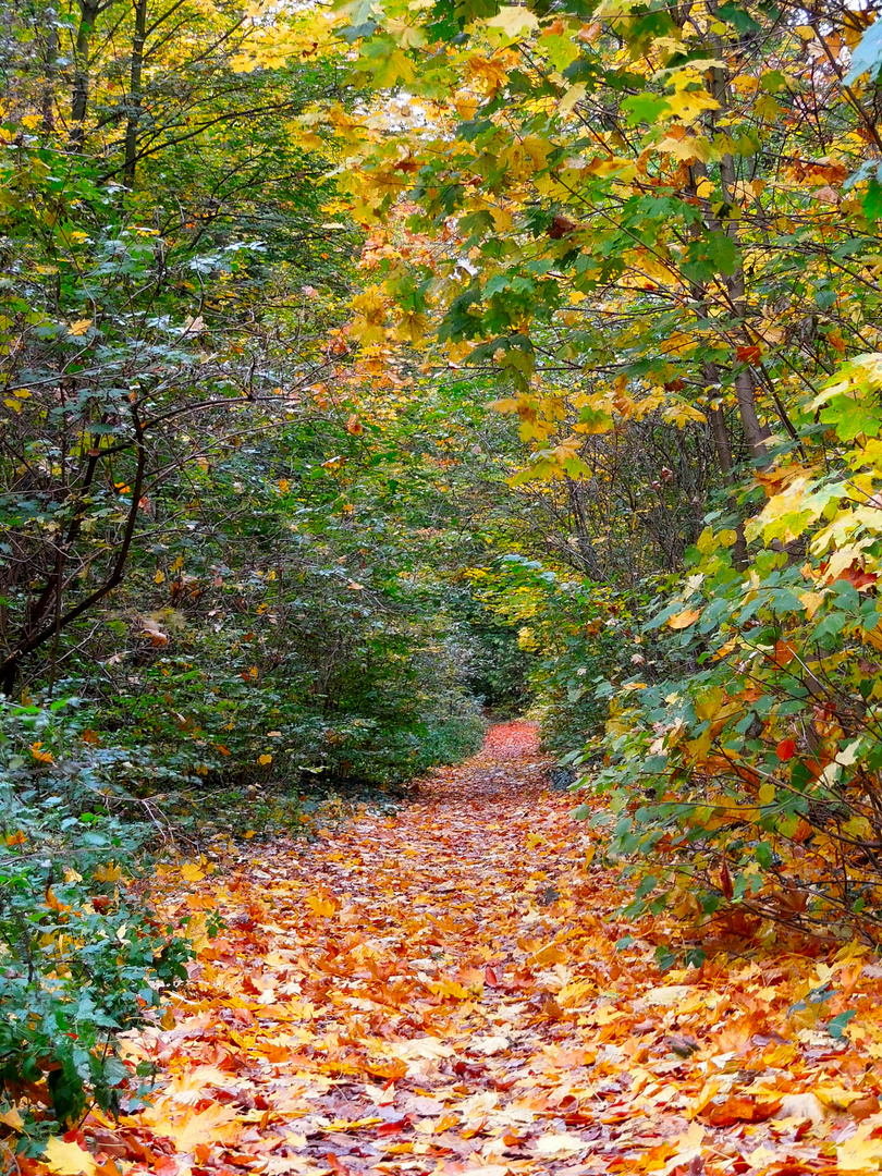 Feuchter Herbst