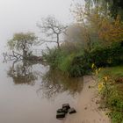 Feuchter kalter Herbstnebel kriecht das Ufer hinauf.