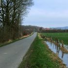 Feuchter Winter auf dem Lande