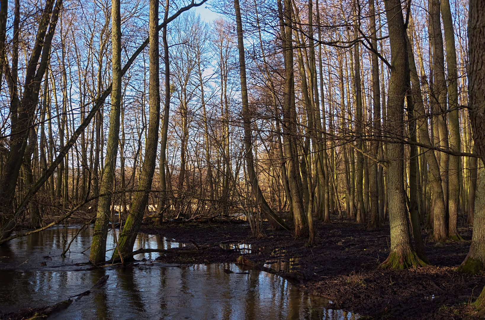 feuchtes Mecklenburg ...