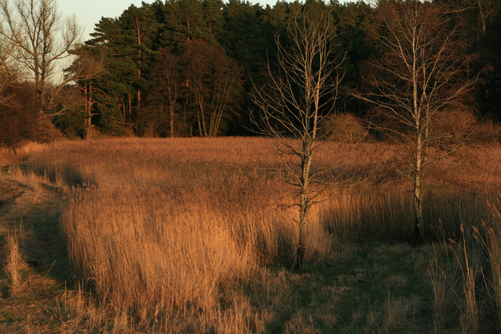 Feuchtgebiet