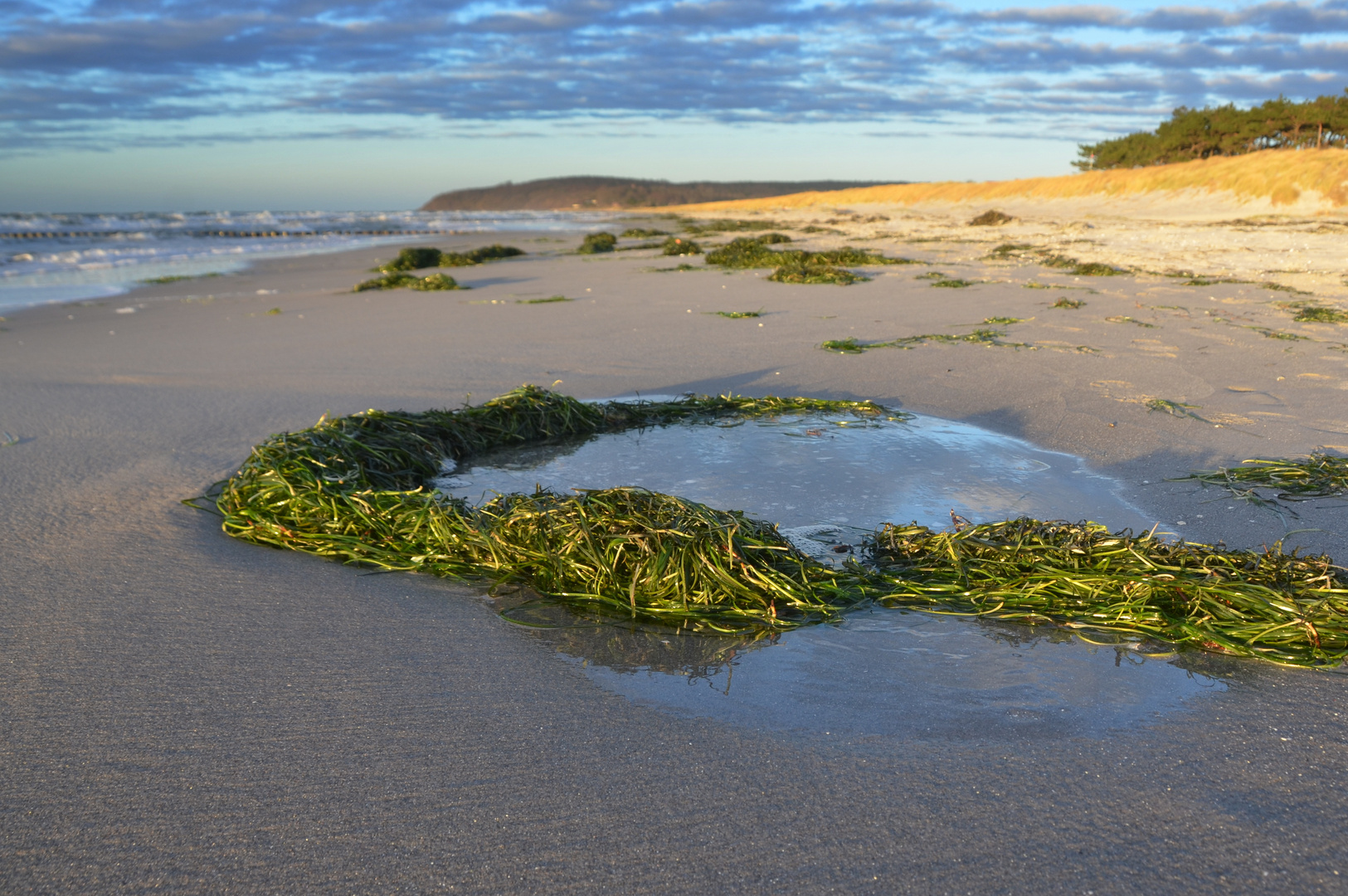 Feuchtgebiet am Strand 