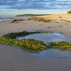 Feuchtgebiet am Strand 