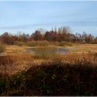 Feuchtgebiet bei Rothensande am Kellersee_03