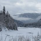 Feuchtgebiet bei Seegatterl im Winter