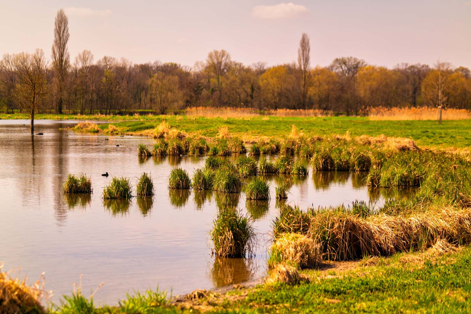 Feuchtgebiet