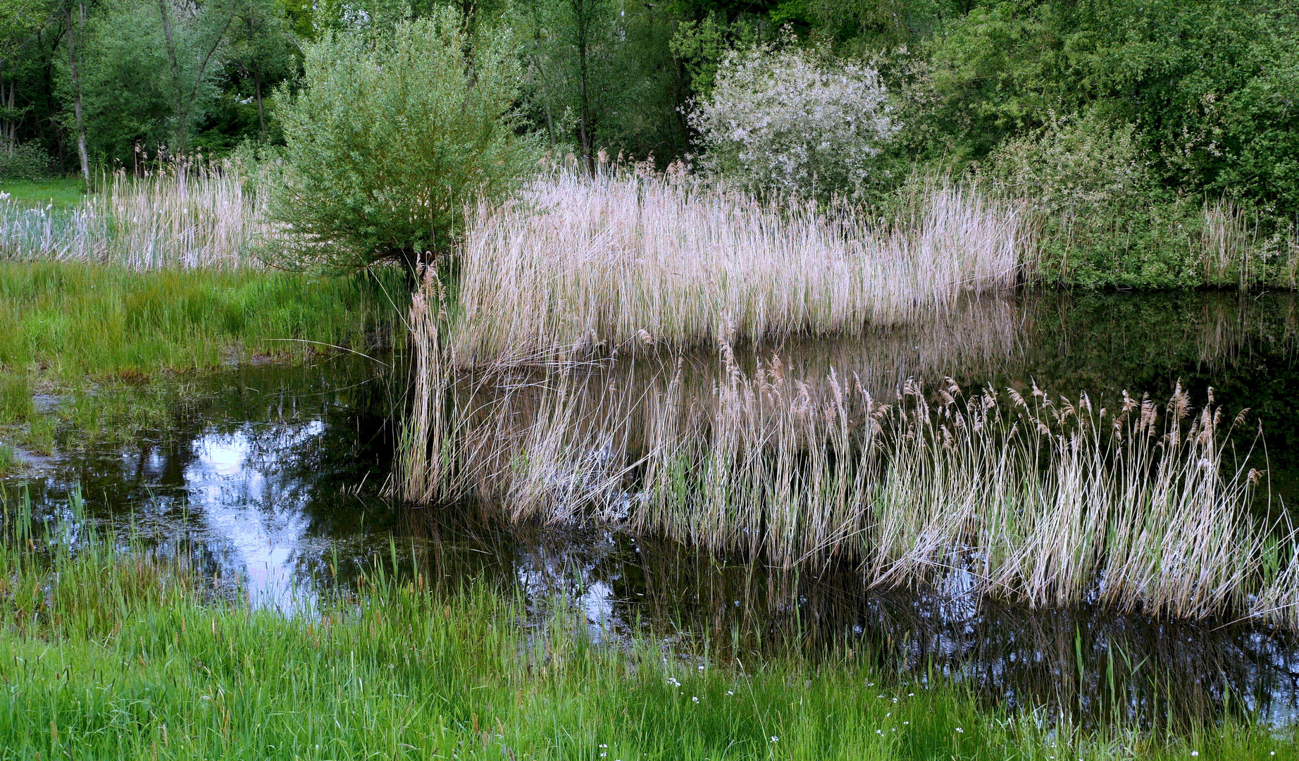 Feuchtgebiet