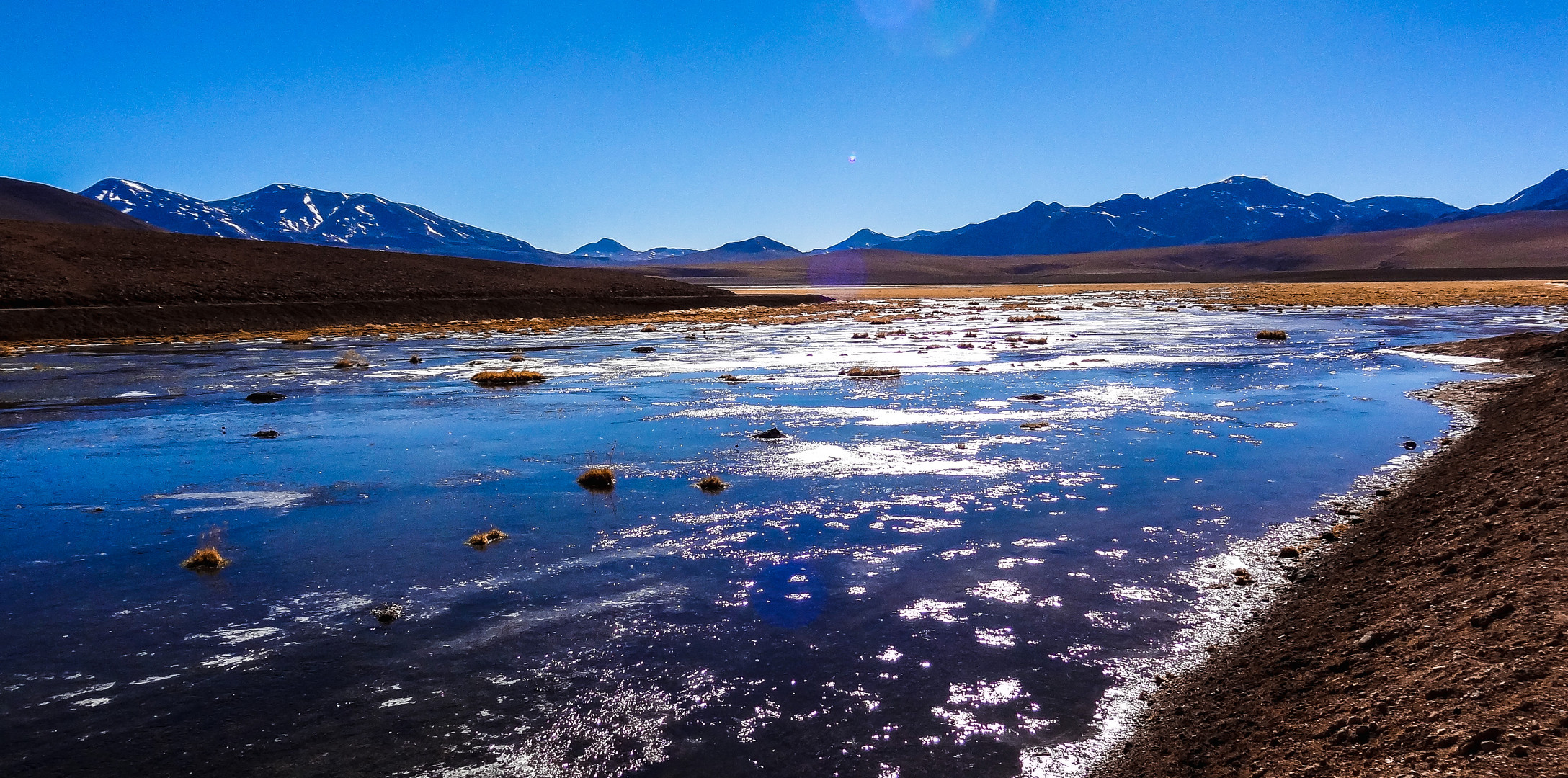 Feuchtgebiet im Altiplano