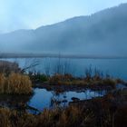 Feuchtgebiet Wangental