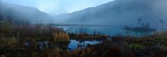 Feuchtgebiet Wangental