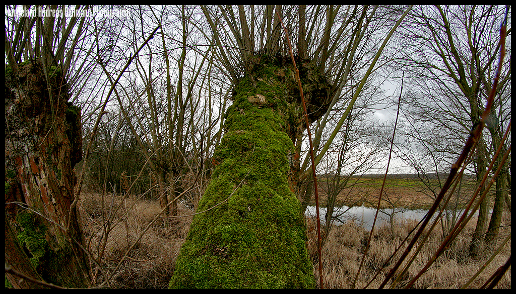 Feuchtgebiete