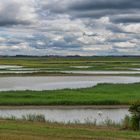 Feuchtgebiete auf Texel