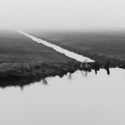 Feuchtwiesen am Ijsselmeer, Holland