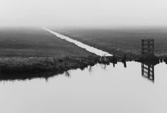 Feuchtwiesen am Ijsselmeer, Holland