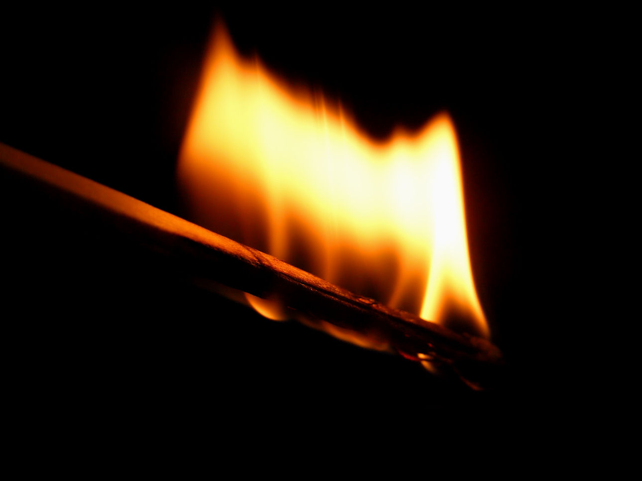 feuer 1