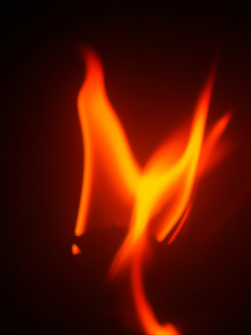 Feuer