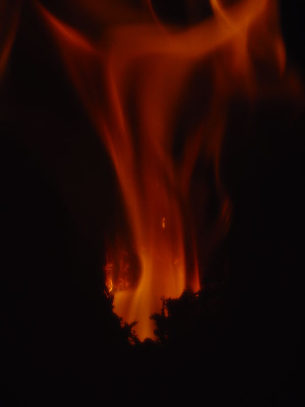 Feuer