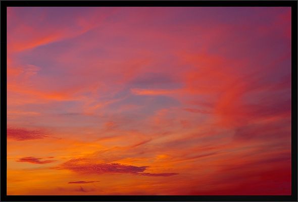 Hear - Fotos & Bilder - Fotograf aus Berlin, Deutschland | fotocommunity