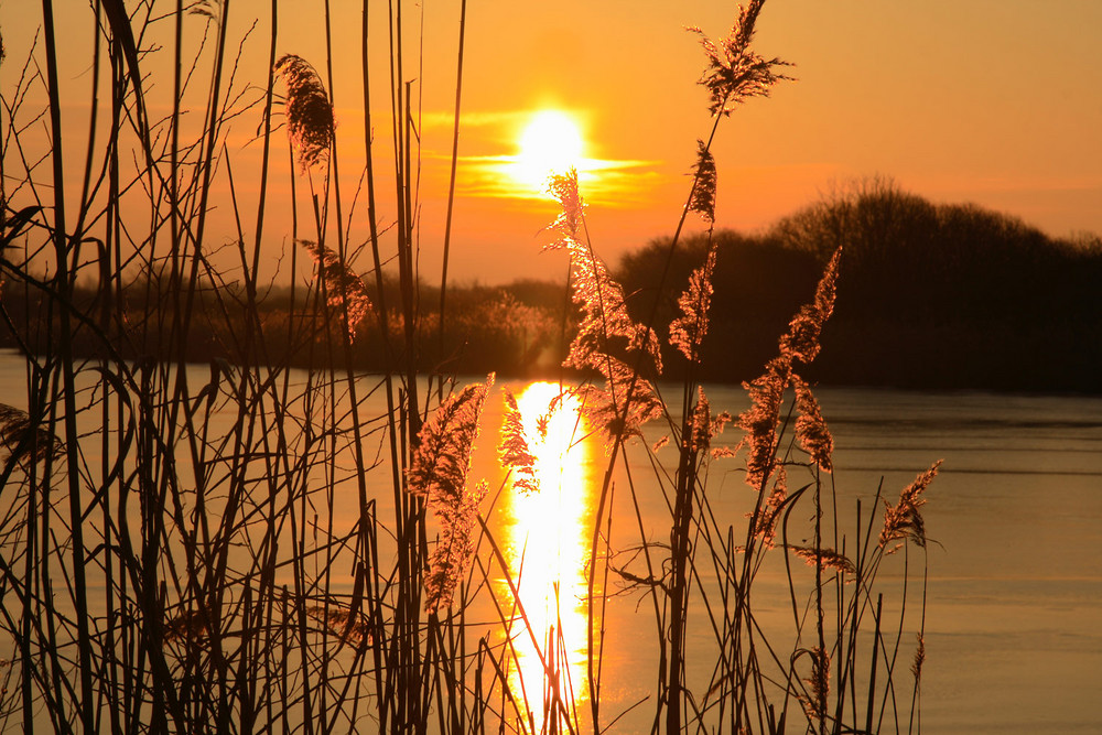 Feuer am Firmament