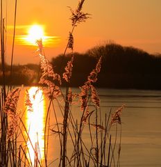 Feuer am Firmament