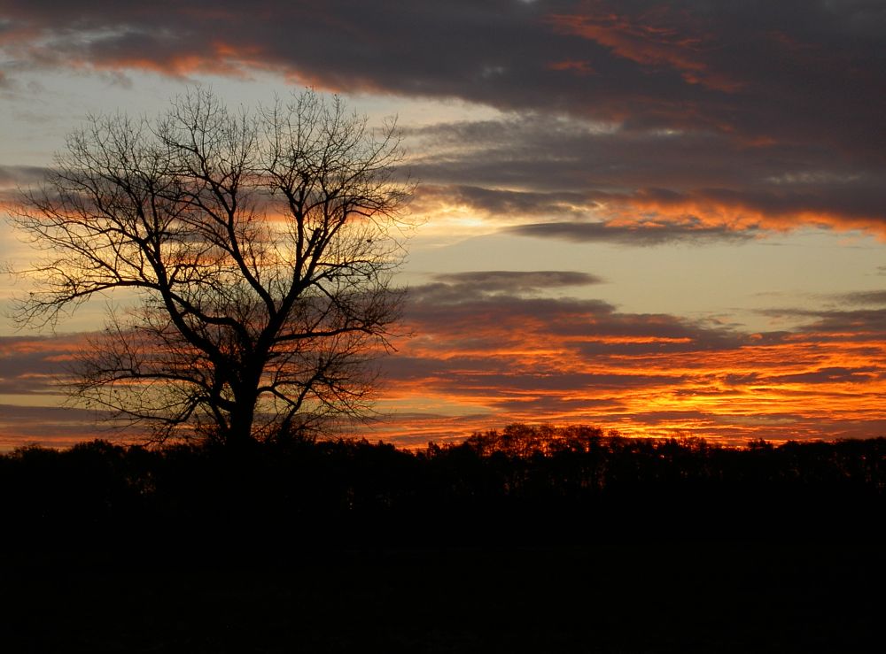 Feuer am Horizont 8