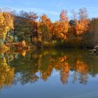 Feuer am Karpfenteich