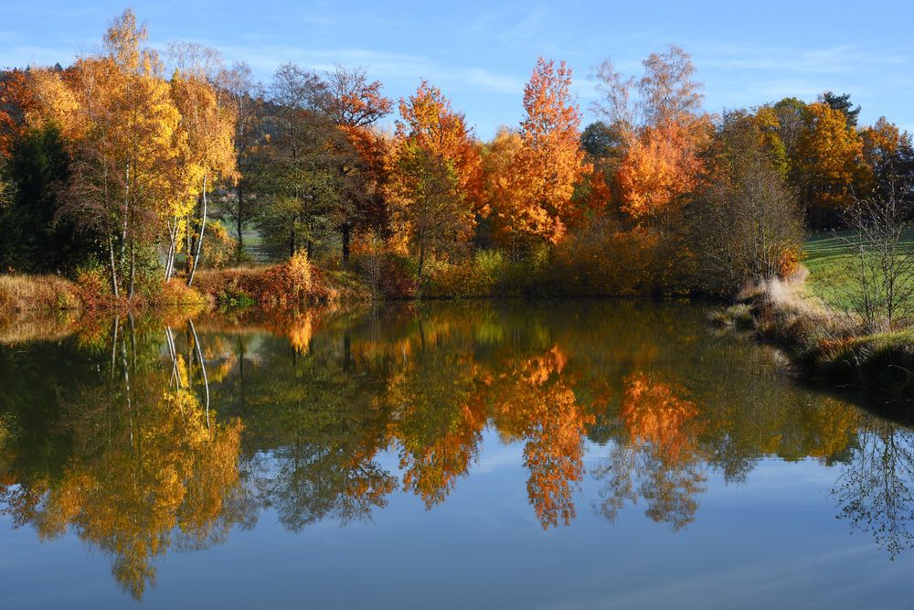 Feuer am Karpfenteich