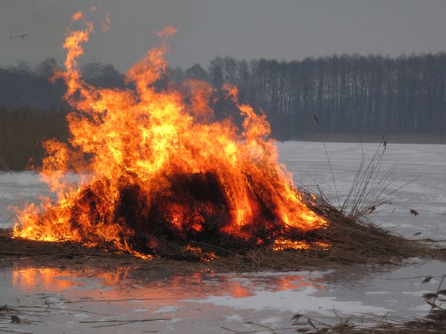 Feuer auf dem Eis