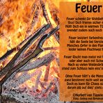 Feuer