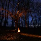 Feuer im Baum