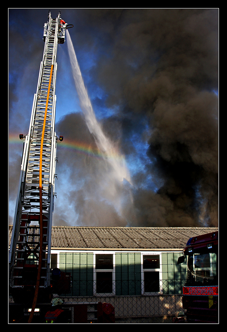 Feuer in Arbon 3