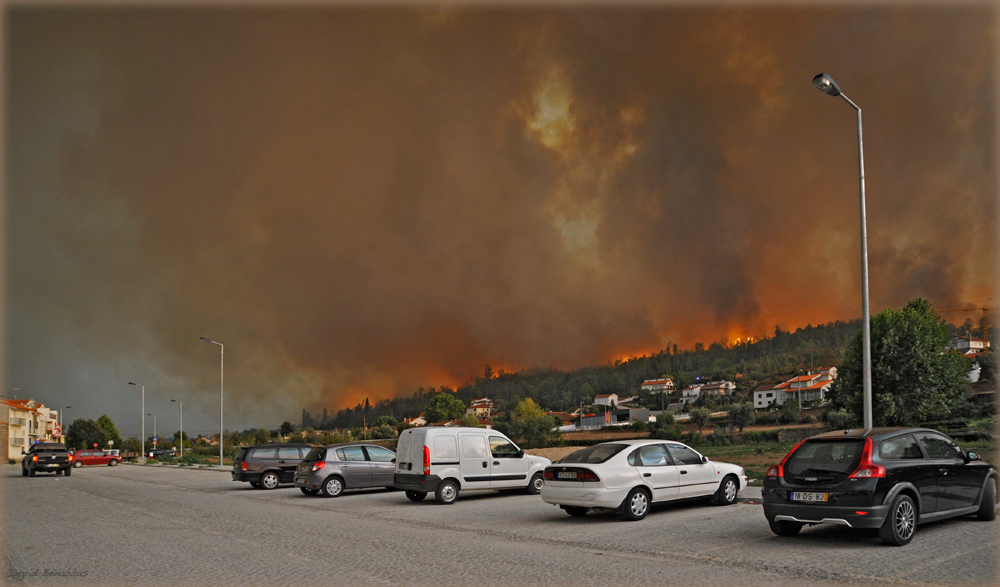 Feuer in Coja (2)