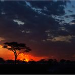 feuer in der serengeti.......