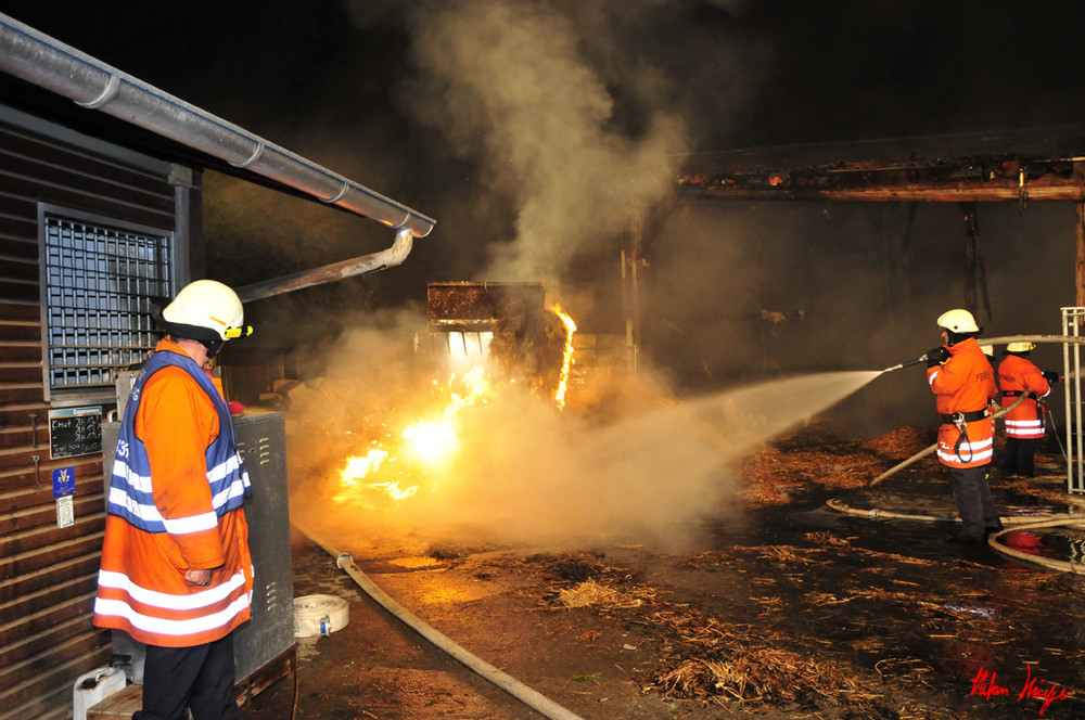 Feuer Monrepo Stallung