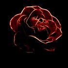 Feuer Rose