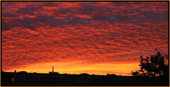 Feuer über Berlin